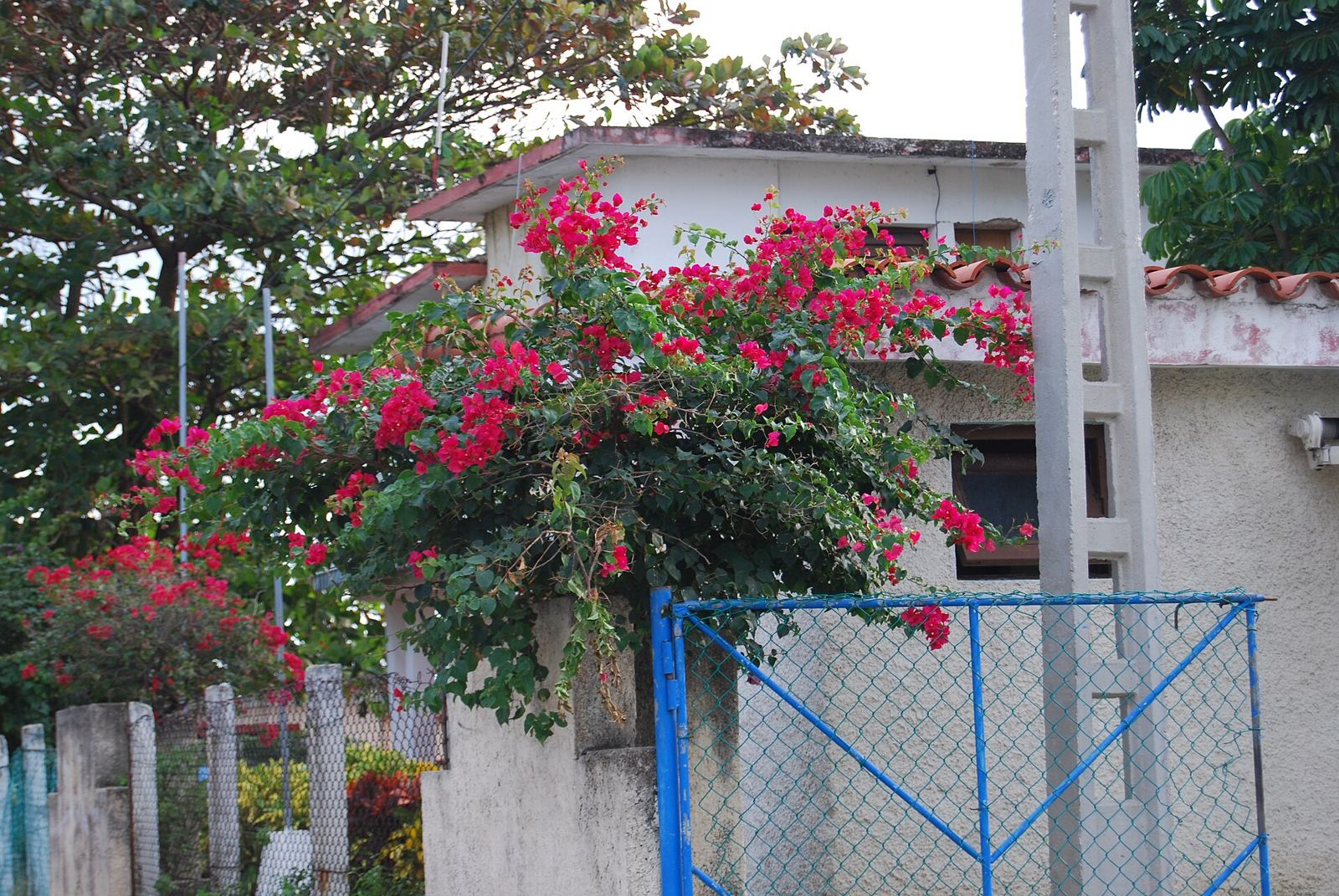 Casa con flores en Varadero (foto de muestra)